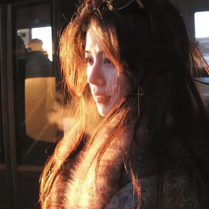 阿基里斯与龟